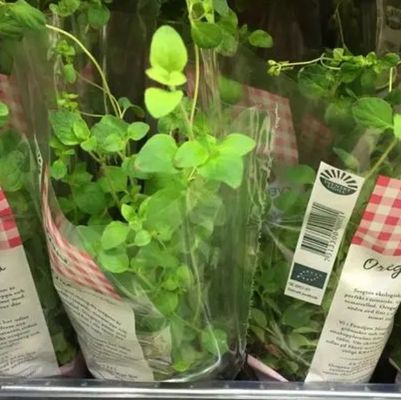Custom Printing Clear BOPP Film Sleeves For Flower And Plants Wrapping