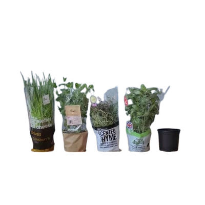 Custom Printing Clear BOPP Film Sleeves For Flower And Plants Wrapping