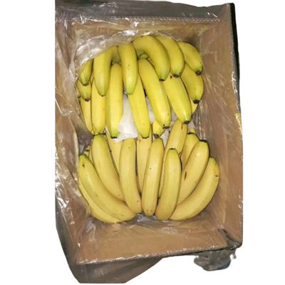 Vegetable Clear Carton Liner Bags Polyethylene Poly Liner Bags With Holes