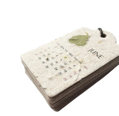 Handmade Recycled Embedded Seed Paper Eco Friendly Wood Free
