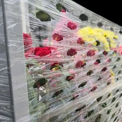 Durable Wrap film with Holes 500mm X 1420m 23 Microns Thickness