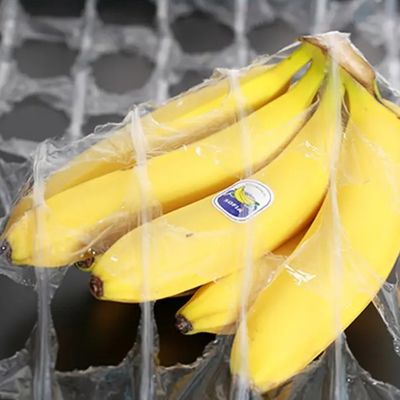 Food And Plant Wrap LDPE Stretch Film 500mm X 1420m with 250% Elongation and Durable Material